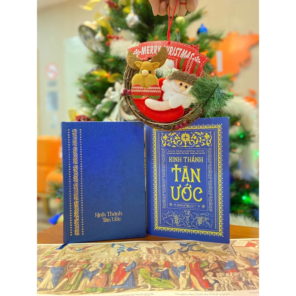 Combo of the Old Testament & New Testament Bible, Vietnamese