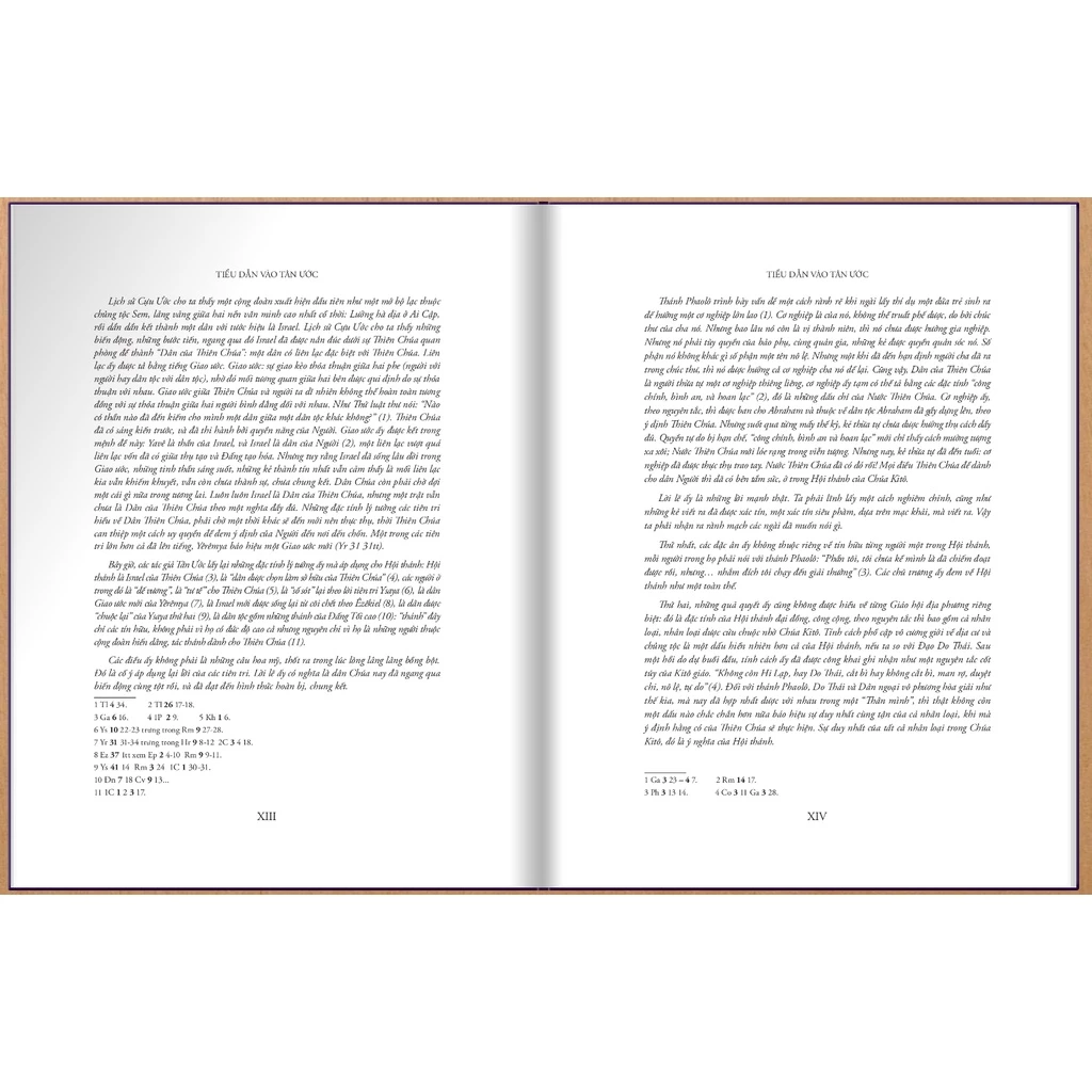 Combo of the Old Testament & New Testament Bible, Vietnamese