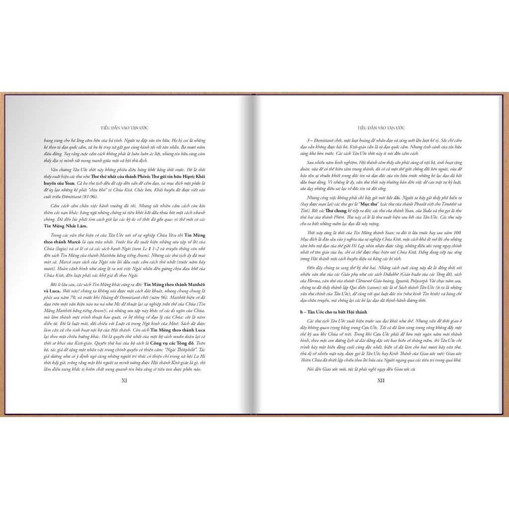 Combo of the Old Testament & New Testament Bible, Vietnamese