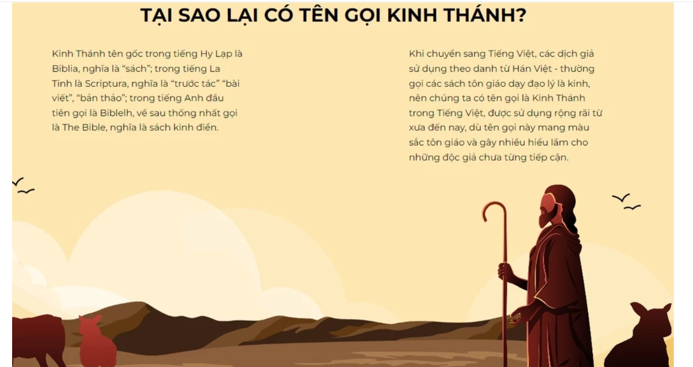 Combo of the Old Testament & New Testament Bible, Vietnamese