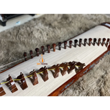 Dan Tranh (Vietnamese Zither) 🇻🇳 – The Soul of Vietnamese Folk Music