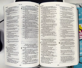 Book - Bilingual Vietnamese-English Bible (1925 Traditional - King James Version)