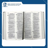 Book - Bilingual Vietnamese-English Bible (1925 Traditional - King James Version)