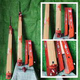 FOLDING VIETNAMESE DAN BAU MONOCHORD TRADITIONAL MUSICAL INSTRUMENT OF VIETNAM