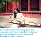 Dan Tranh (Vietnamese Zither) 🇻🇳 – The Soul of Vietnamese Folk Music