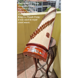 Dan Tranh (Vietnamese Zither) 🇻🇳 – The Soul of Vietnamese Folk Music